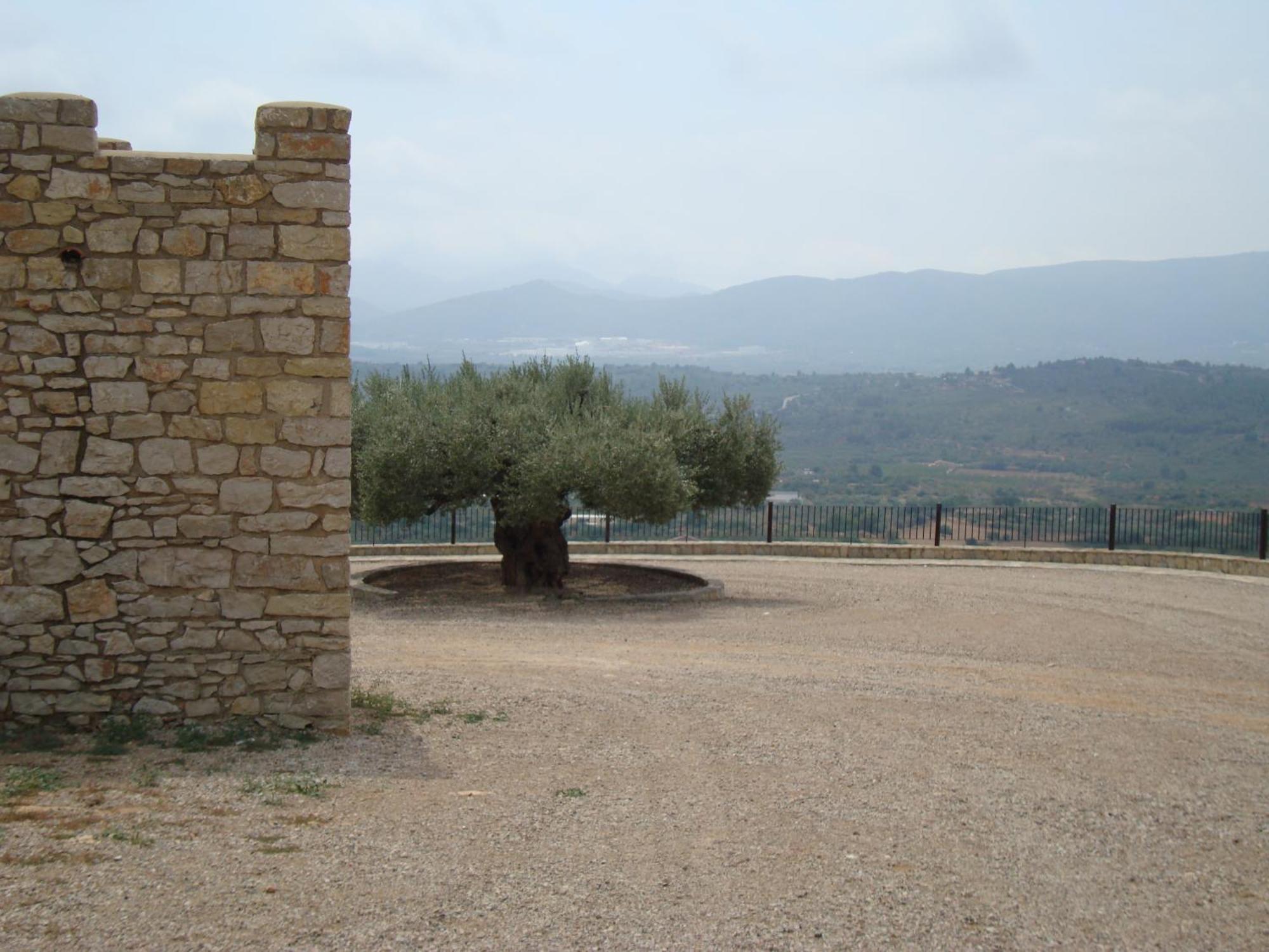 L'Ermita Casa Ripo Otel Vall dʼAlba Dış mekan fotoğraf