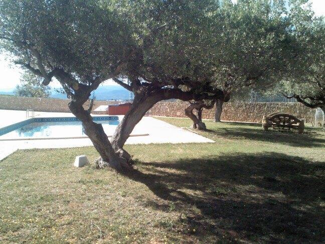 L'Ermita Casa Ripo Otel Vall dʼAlba Dış mekan fotoğraf